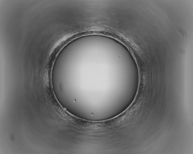 X0000112801262200909041425