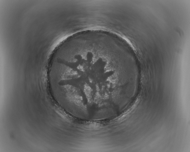 X0000112801263200909041425