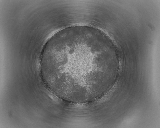 X0000112801266200909041425