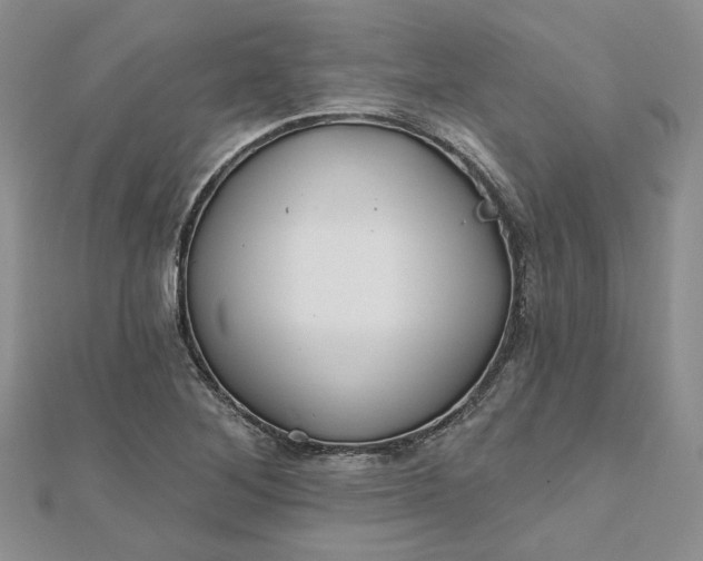 X0000112801268200909041425