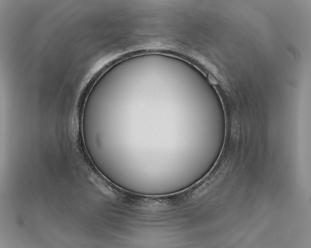 X0000112801270200909041425