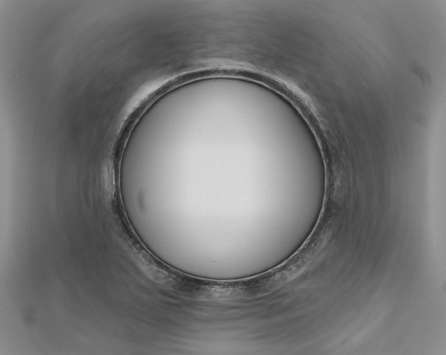 X0000112801271200909041425