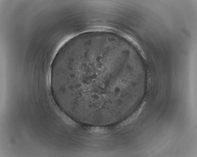 X0000112801275200909041425