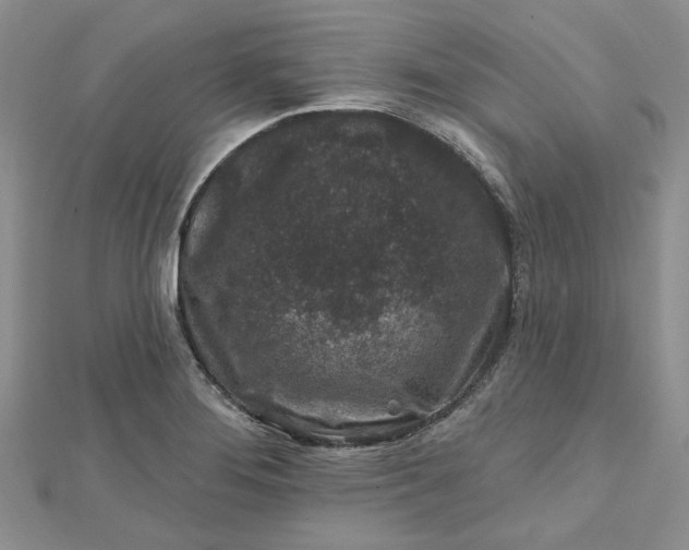 X0000112801276200909041425