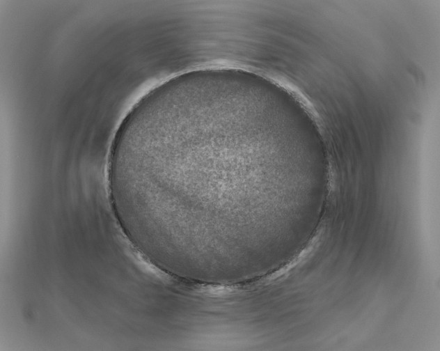 X0000112801278200909041425