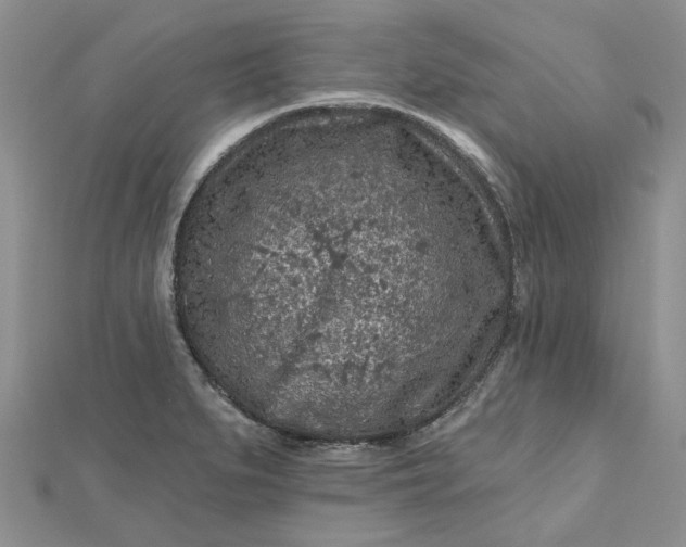X0000112801279200909041425