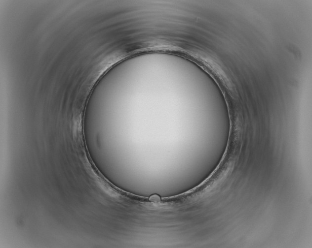 X0000112801281200909041425