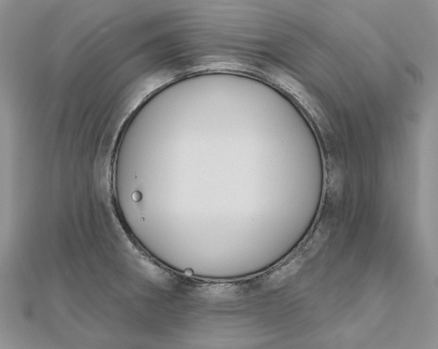 X0000112801282200909041425