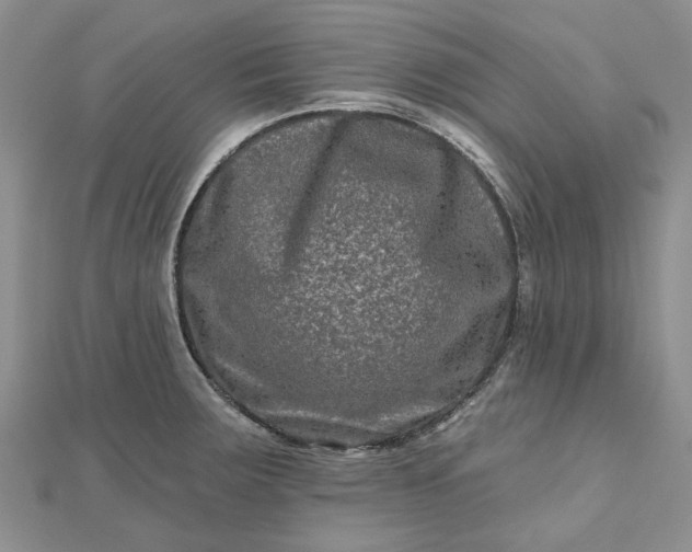 X0000112801283200909041425