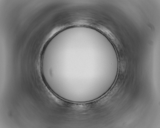 X0000112801286200909041425