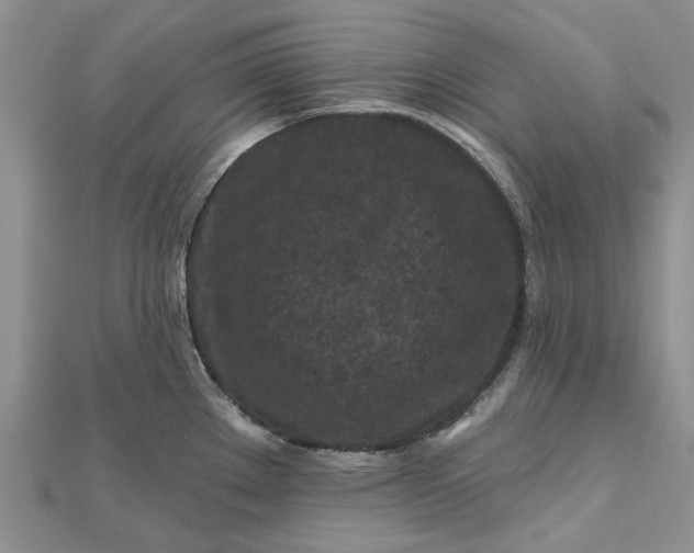 X0000112801289200909041425