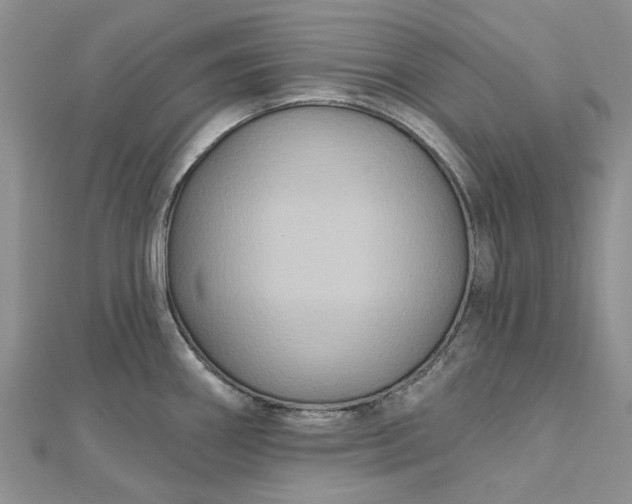 X0000112801290200909041425