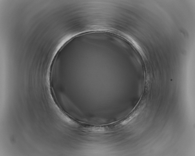 X0000112801291200909041425