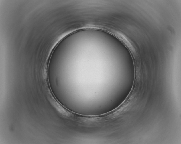 X0000112801292200909041425