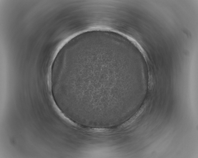 X0000112801295200909041425