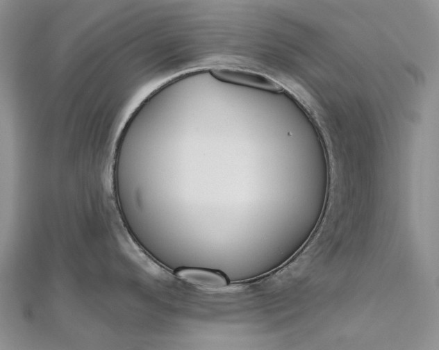 X0000112801296200909041425