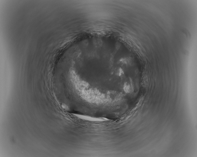 X0000112801297200909041424