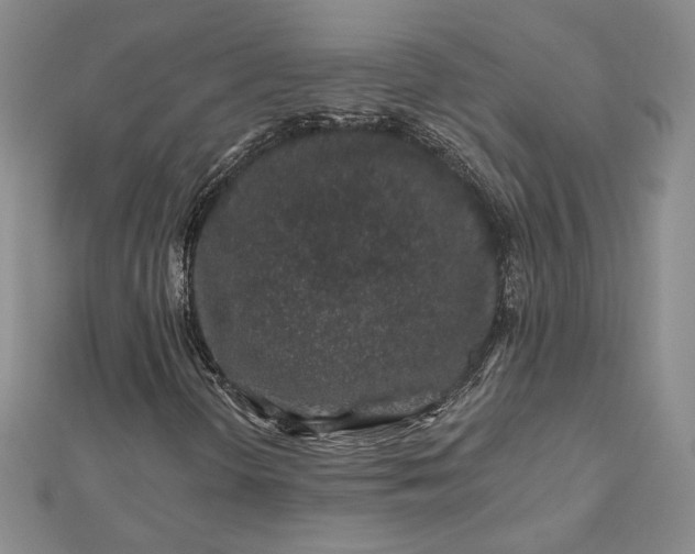 X0000112801298200909041424