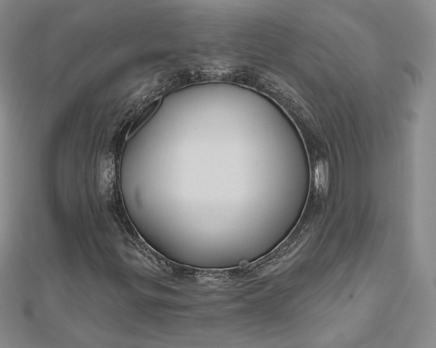 X0000112801299200909041424