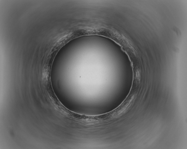 X0000112801300200909041424