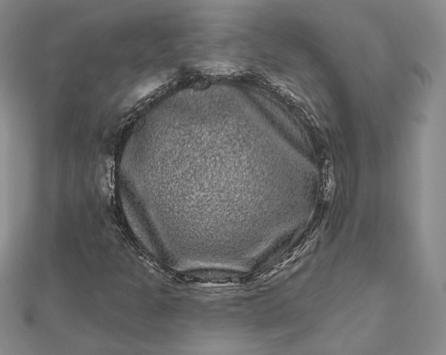 X0000112801301200909041424