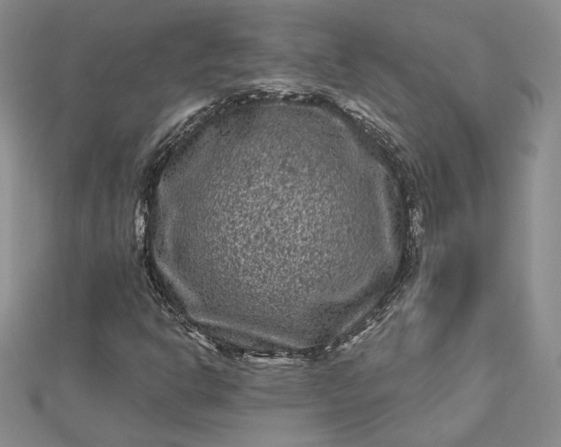X0000112801302200909041424