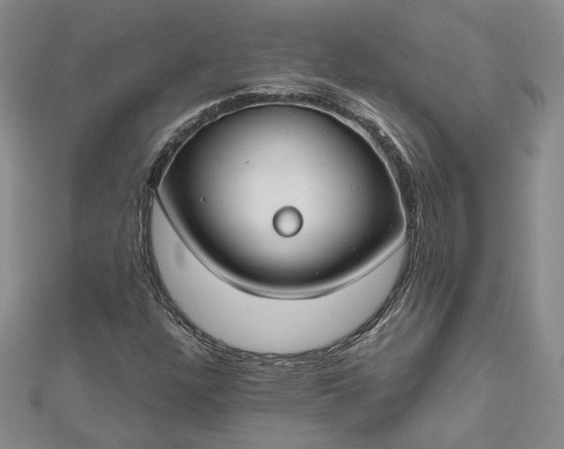 X0000112801304200909041424