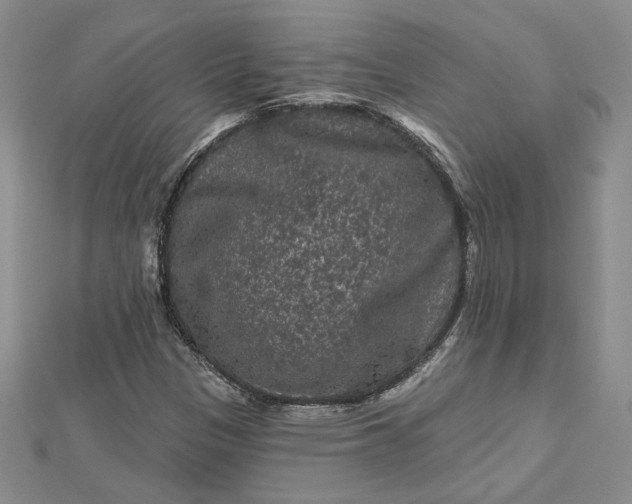 X0000112801305200909041424