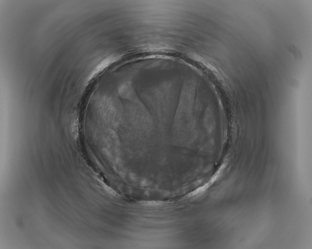 X0000112801306200909041424