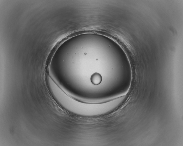 X0000112801308200909041424