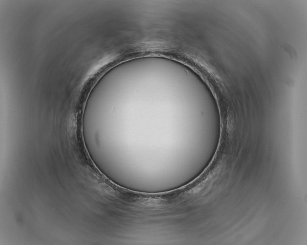 X0000112801309200909041424