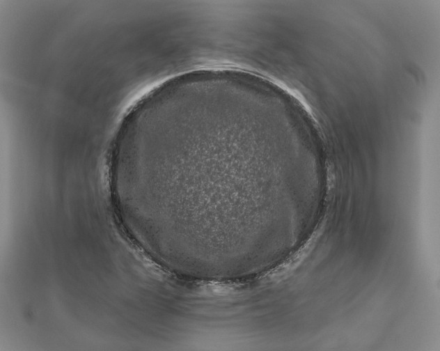 X0000112801311200909041424