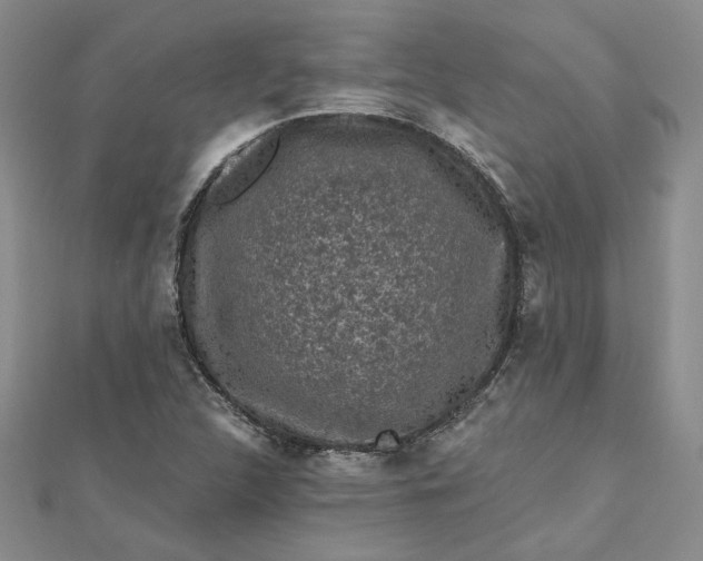 X0000112801312200909041424