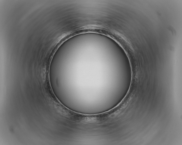 X0000112801313200909041424