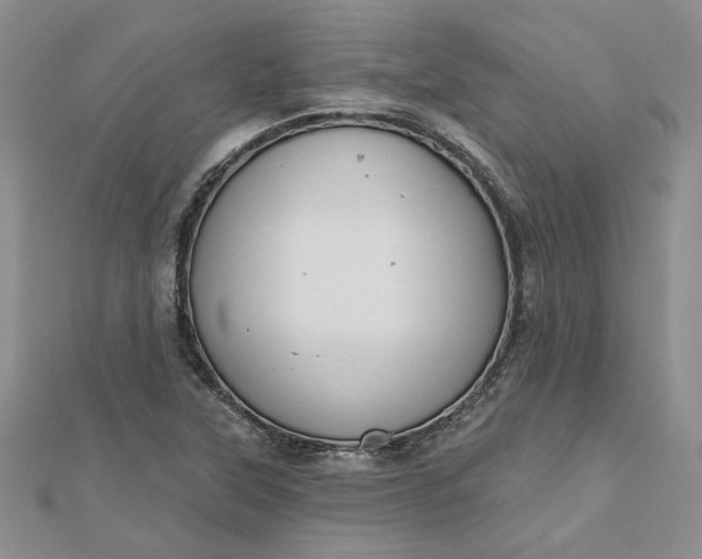 X0000112801315200909041424