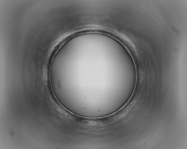 X0000112801318200909041424