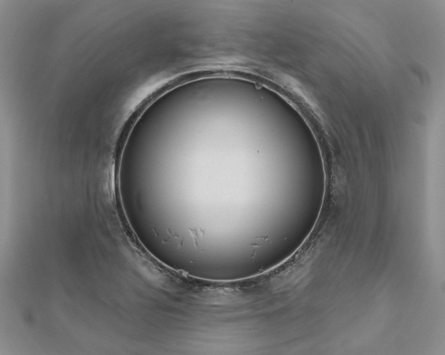 X0000112801320200909041424