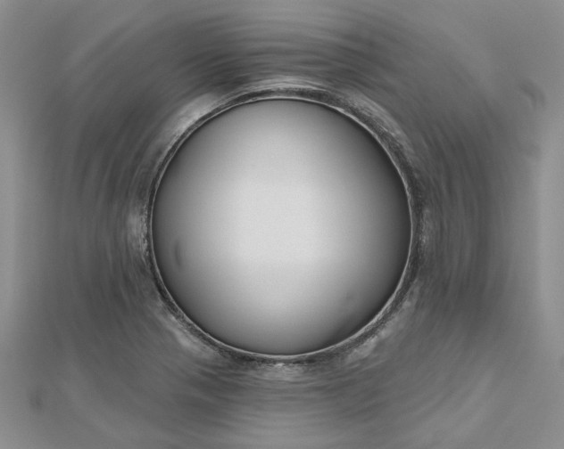 X0000112801321200909041425