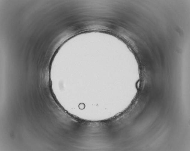X0000112801322200909041425
