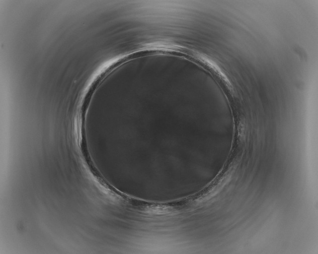 X0000112801323200909041425