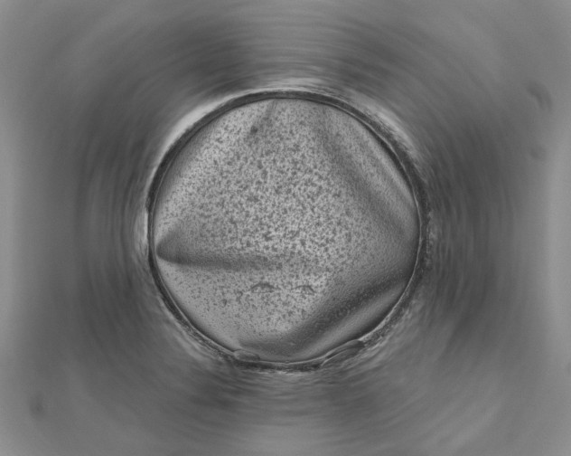 X0000112801324200909041425