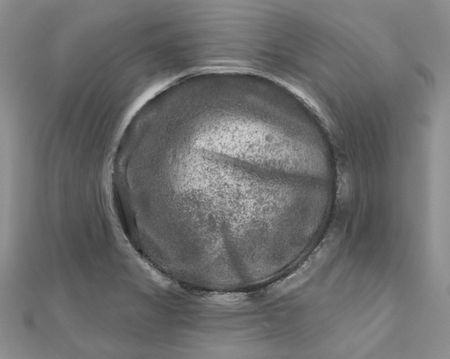 X0000112801325200909041425