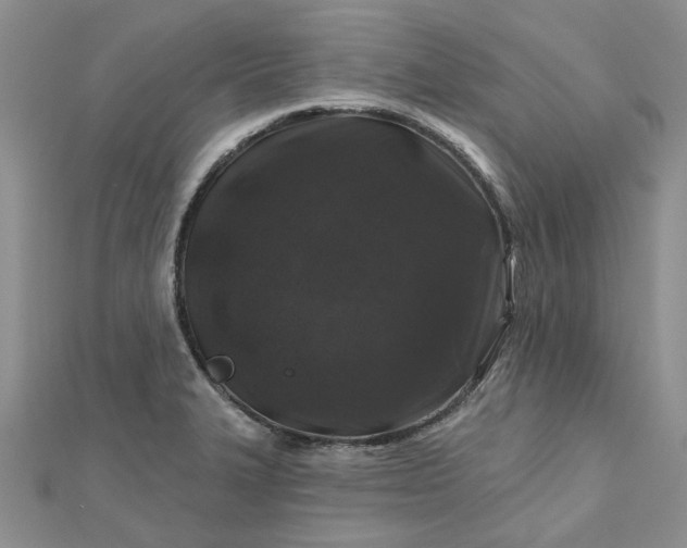 X0000112801327200909041425