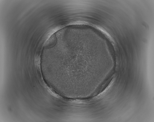 X0000112801329200909041425