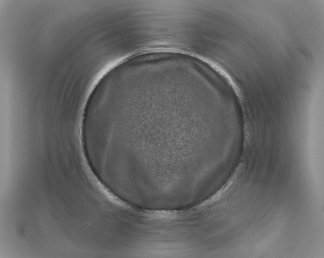 X0000112801333200909041425