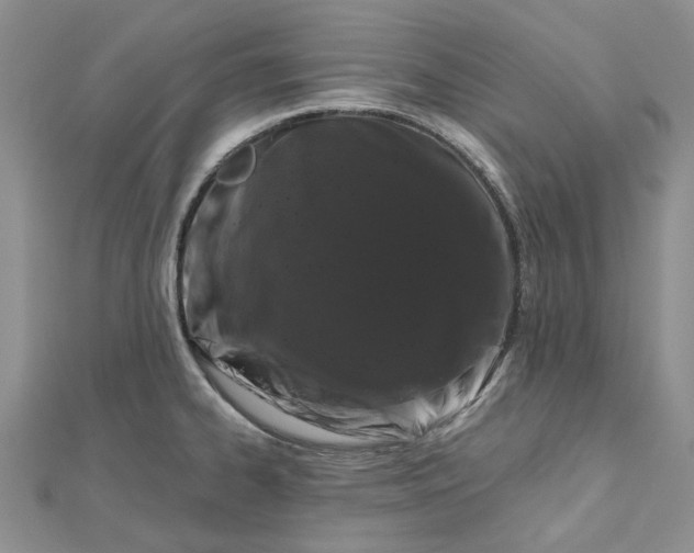 X0000112801334200909041425