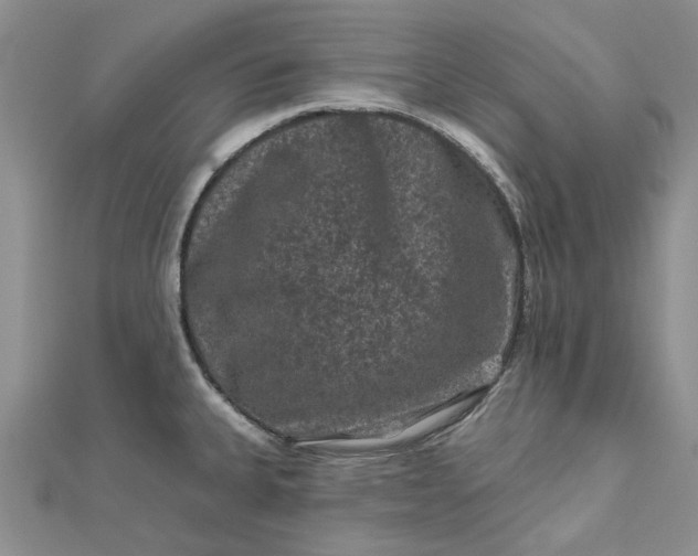 X0000112801335200909041425