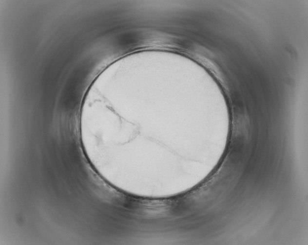 X0000112801338200909041425