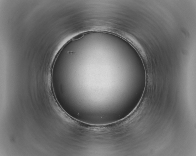 X0000112801340200909041425