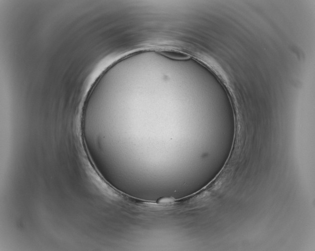 X0000112801344200909041425
